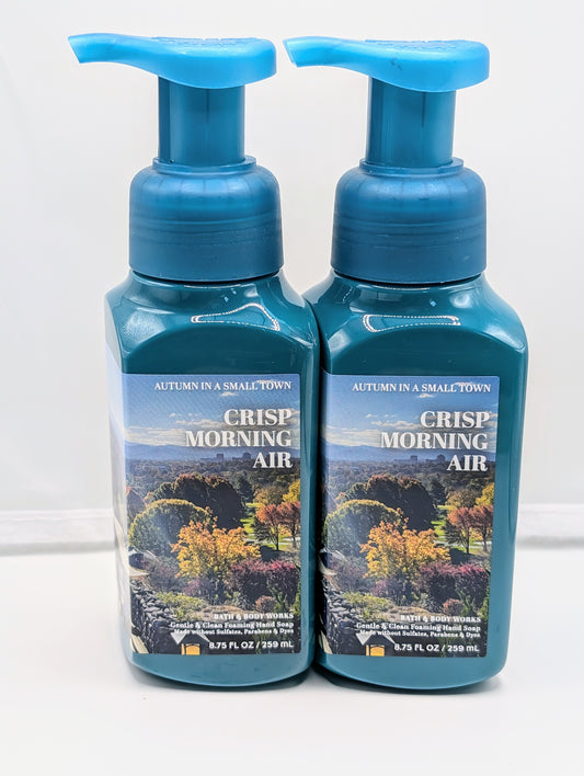 2 Pack Bath & Body Works CRISP MORNING AIR Gentle & Clean Foaming Hand Soap